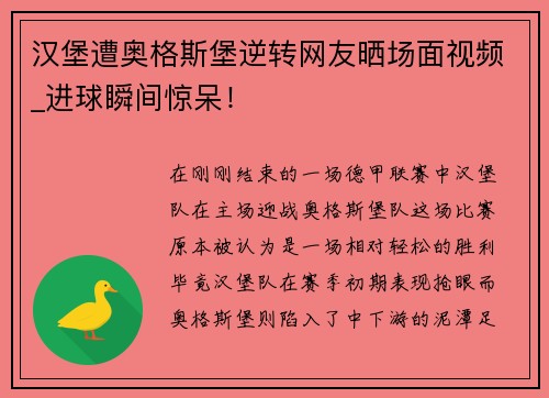 汉堡遭奥格斯堡逆转网友晒场面视频_进球瞬间惊呆！