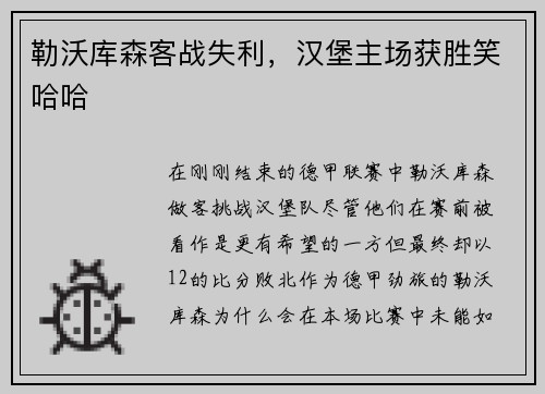 勒沃库森客战失利，汉堡主场获胜笑哈哈